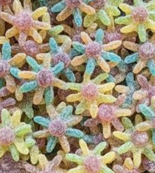 Octopus poulpe sucré (100g)
